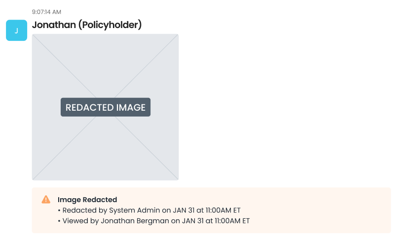 manual image redaction screenshot.png