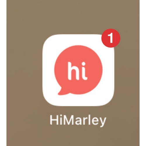Untitled design.png